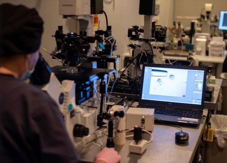 Pacific Fertility Center of Los Angeles (PFCLA)​