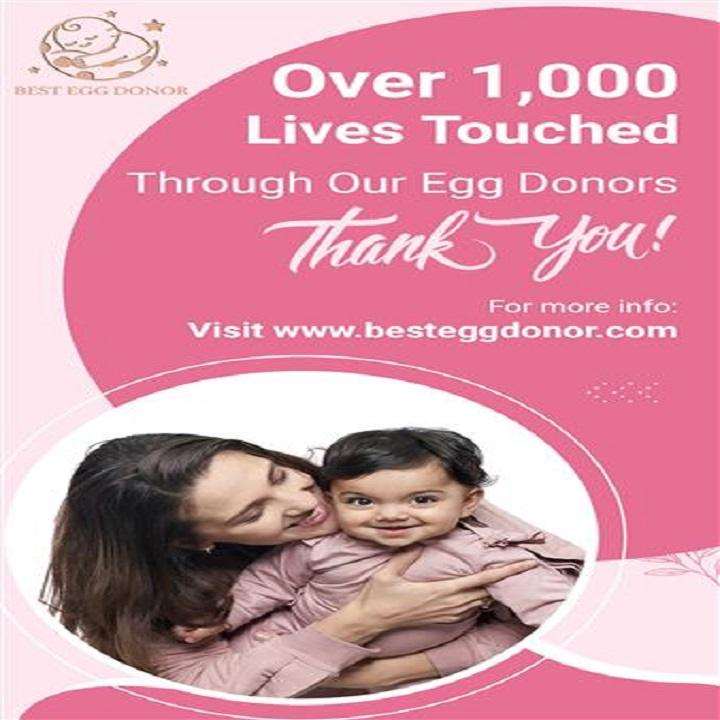 How to choose the Best Egg Donor Agency Near me